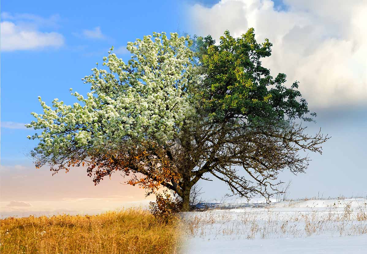 How to Get Your New Year’s Resolutions Back on Track - Student Edition